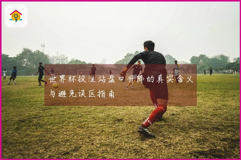 世界杯投注站盘口升降的真实含义与避免误区指南
