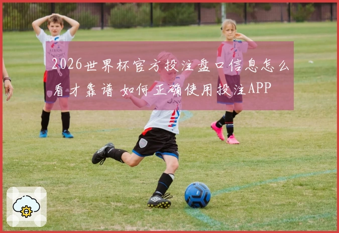 2026世界杯官方投注盘口信息怎么看才靠谱 如何正确使用投注APP