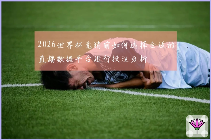 2026世界杯竞猜前如何选择合适的直播数据平台进行投注分析