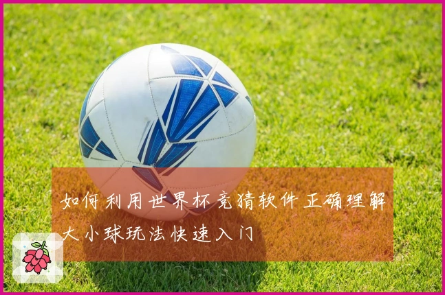 如何利用世界杯竞猜软件正确理解大小球玩法快速入门
