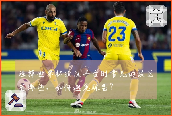 选择世界杯投注平台时常见的误区有哪些，如何避免踩雷？