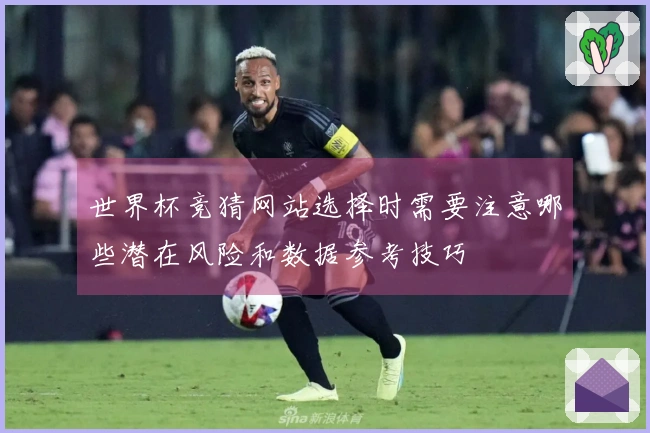 世界杯竞猜网站选择时需要注意哪些潜在风险和数据参考技巧