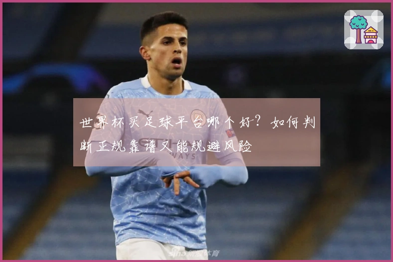 世界杯买足球平台哪个好？如何判断正规靠谱又能规避风险