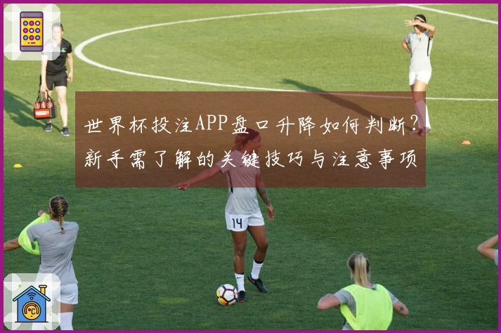 世界杯投注APP盘口升降如何判断？新手需了解的关键技巧与注意事项