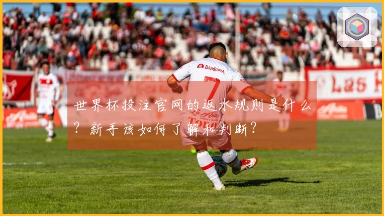 世界杯投注官网的返水规则是什么？新手该如何了解和判断？
