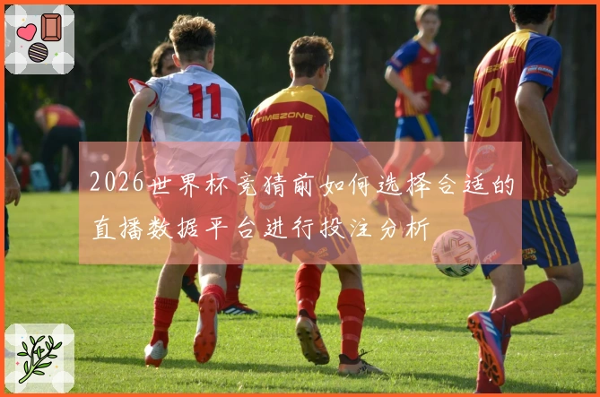 2026世界杯竞猜前如何选择合适的直播数据平台进行投注分析