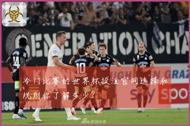 冷门比赛的世界杯投注官网选择和规则你了解多少？