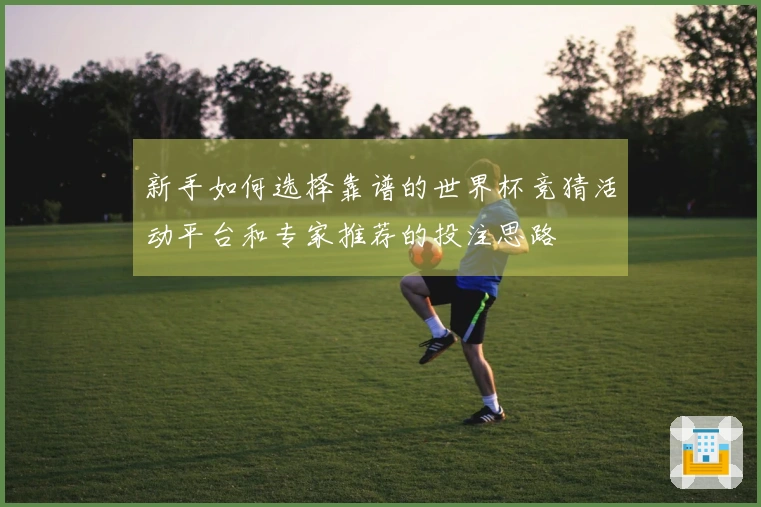 新手如何选择靠谱的世界杯竞猜活动平台和专家推荐的投注思路