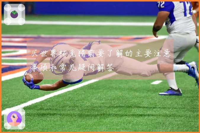 买世界杯竞猜前要了解的主要注意事项和常见疑问解答