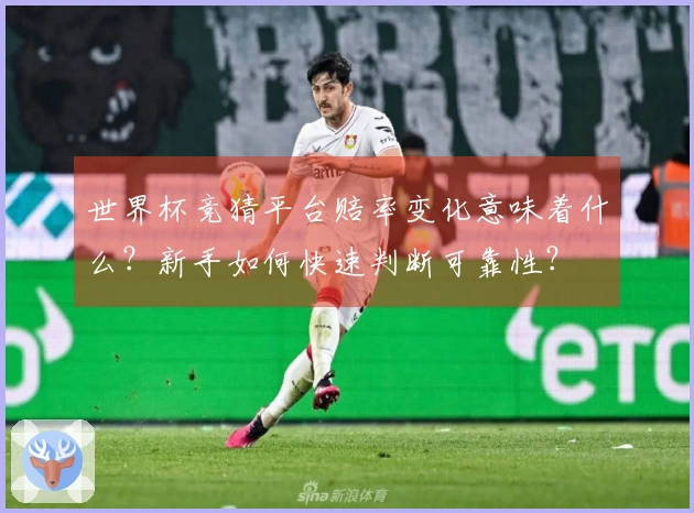 世界杯竞猜平台赔率变化意味着什么？新手如何快速判断可靠性？