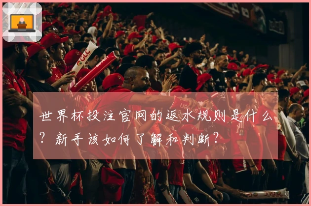 世界杯投注官网的返水规则是什么？新手该如何了解和判断？