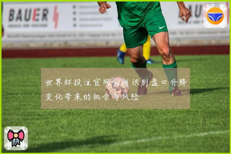 世界杯投注官网如何识别盘口升降变化带来的机会与风险