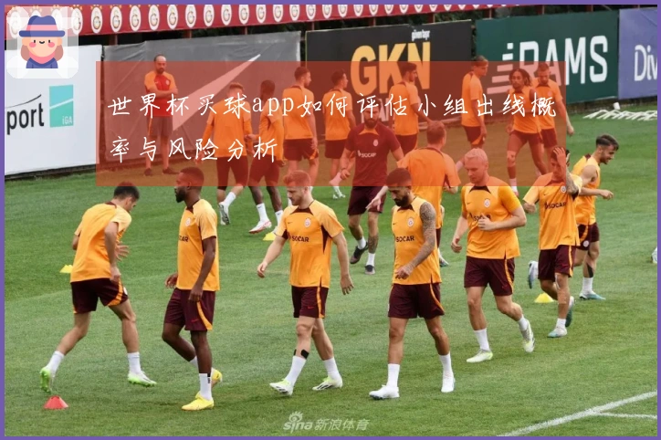 世界杯买球app如何评估小组出线概率与风险分析