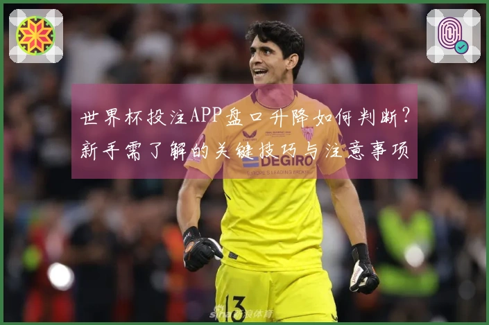 世界杯投注APP盘口升降如何判断？新手需了解的关键技巧与注意事项