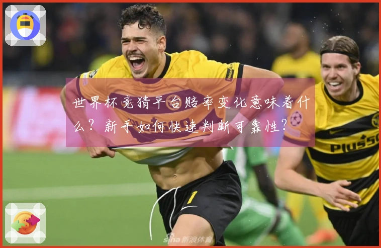 世界杯竞猜平台赔率变化意味着什么？新手如何快速判断可靠性？