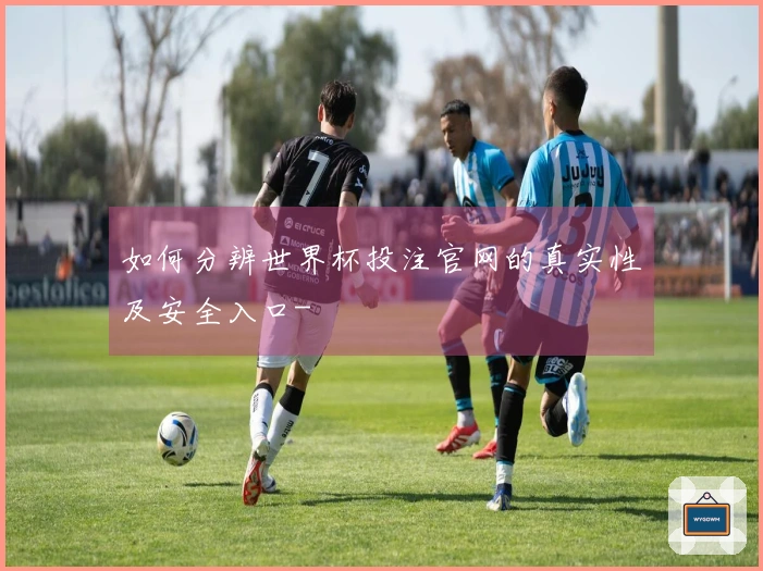 如何分辨世界杯投注官网的真实性及安全入口-