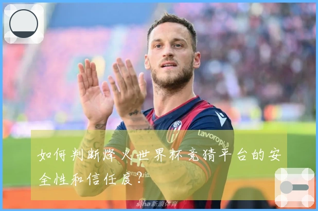 如何判断烽火世界杯竞猜平台的安全性和信任度？