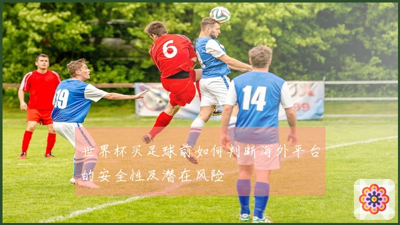 世界杯买足球前如何判断海外平台的安全性及潜在风险
