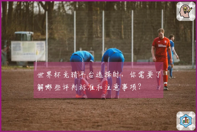 世界杯竞猜平台选择时，你需要了解哪些评判标准和注意事项？